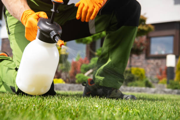 Best Pest Control Near Me in Alto, TX