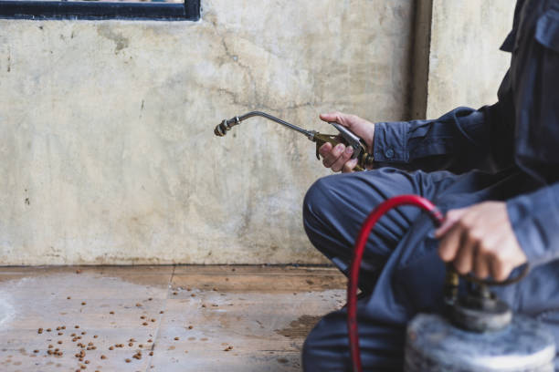 Trusted Alto, TX Pest Control Experts